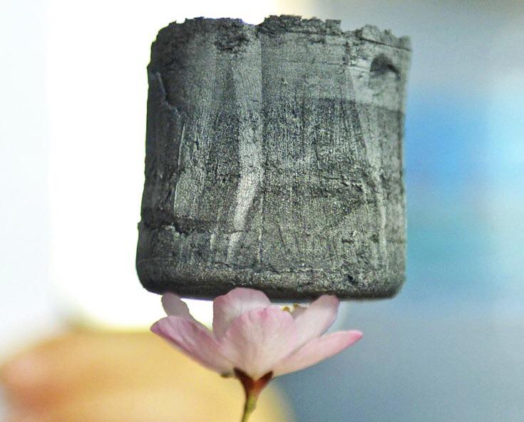 Carbon-Aerogel Mikrostruktur